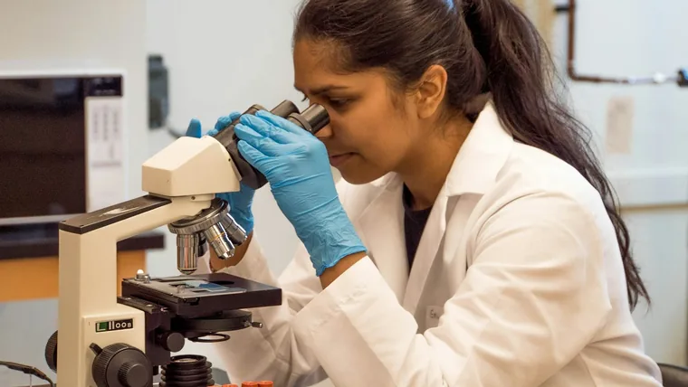 A student looking into a microscope in a lab